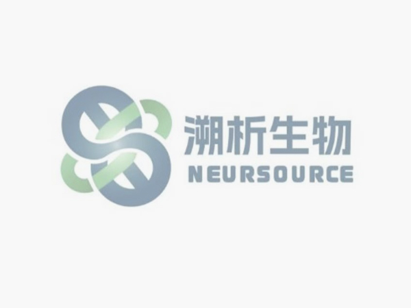 核心团队